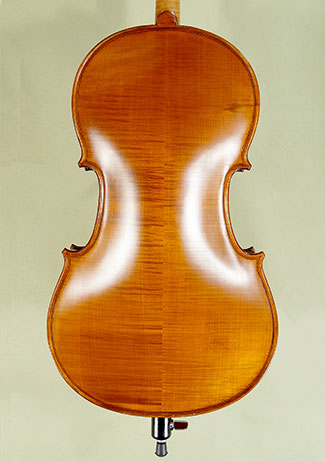 Antiqued 1/8 ADVANCED Student 'GEMS 2' Cello - by Gliga