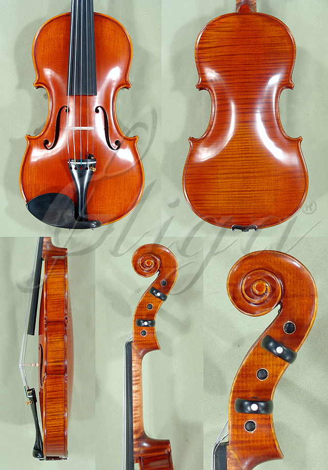 4/4 PROFESSIONAL 'GAMA Super' Five Strings One Piece Back Violin