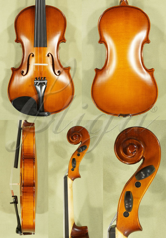 4/4 School 'GENIAL 1-Oil' Violin 'Guarneri'