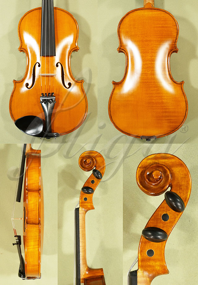 Antiqued 4/4 Student 'GEMS 2' One Piece Back Violin 'Guarneri'