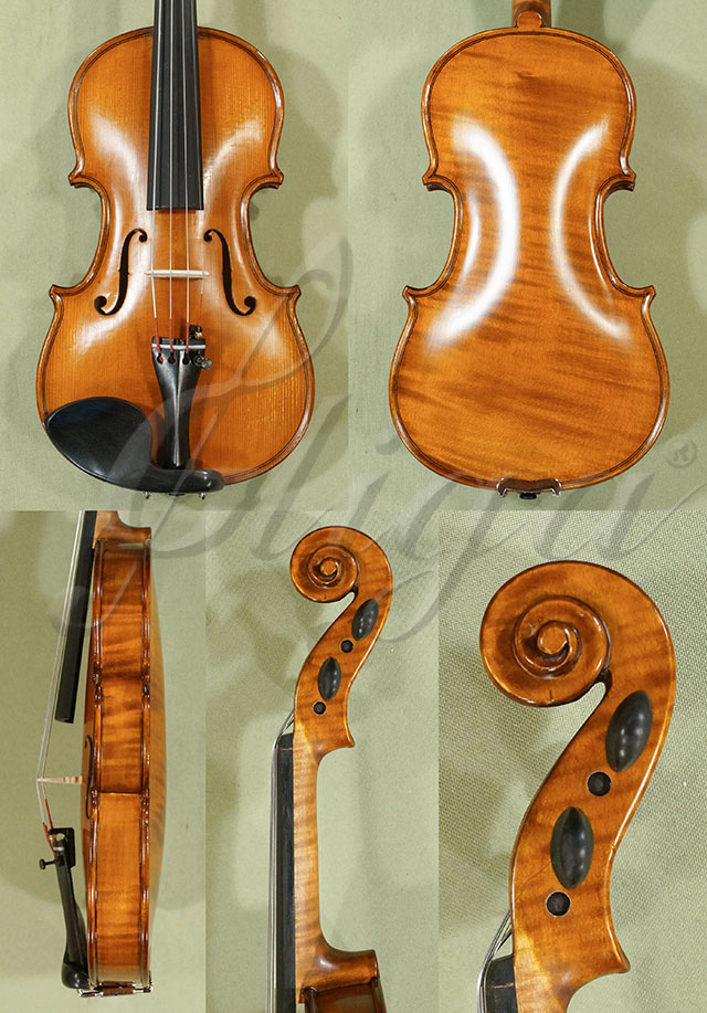 Antiqued 1/8 Student 'GEMS 2' One Piece Back Violin