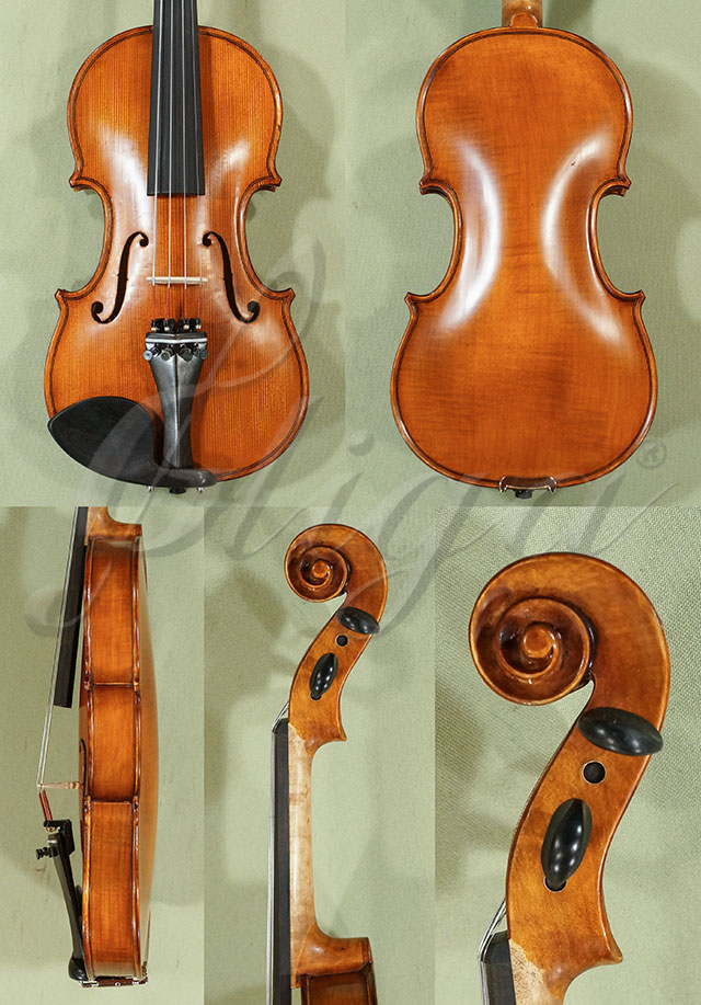 Antiqued 1/4 Student 'GEMS 2' One Piece Back Violin