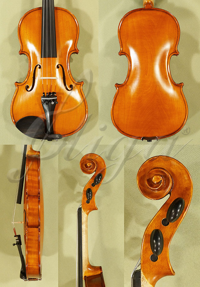 3/4 Student 'GEMS 2' Poplar One Piece Back Violin