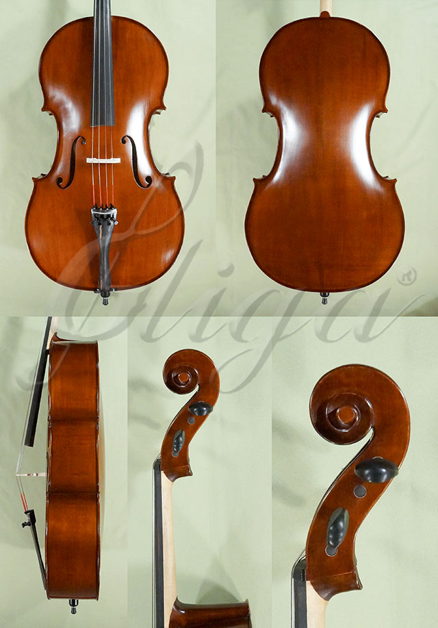 Stained Antiqued 4/4 School 'GENIAL 1-Oil' Cello