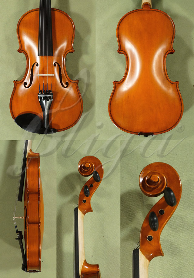 4/4 School 'GENIAL 1-Oil' Poplar One Piece Back Violin