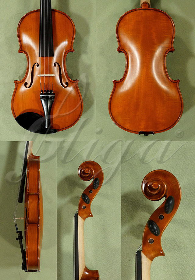 4/4 School 'GENIAL 1-Oil' Willow Violin