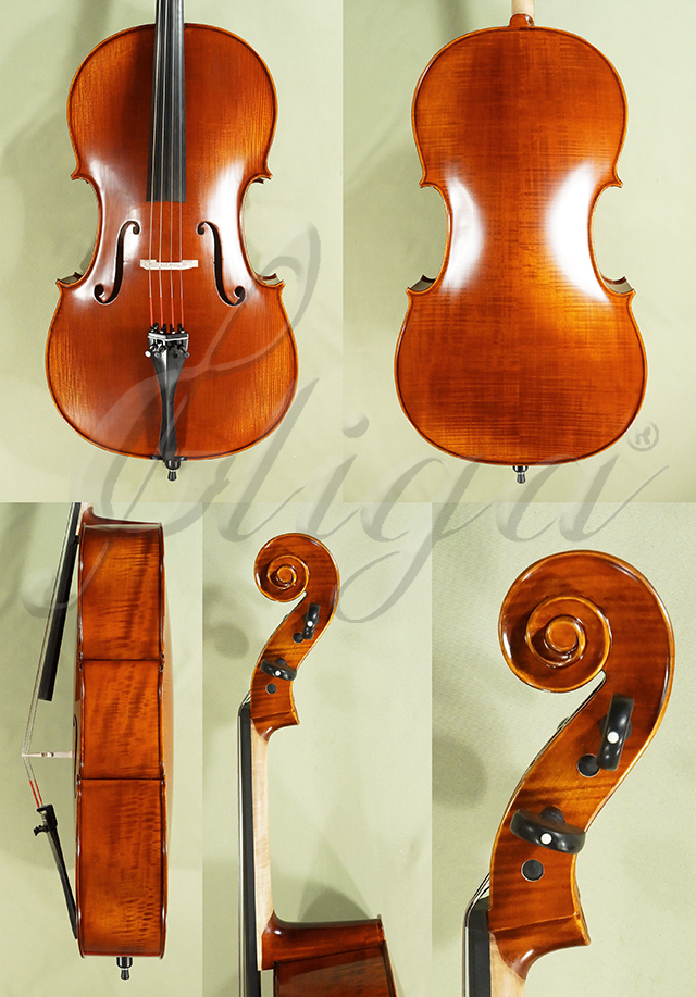 Antiqued 4/4 PROFESSIONAL 'GAMA' Cello