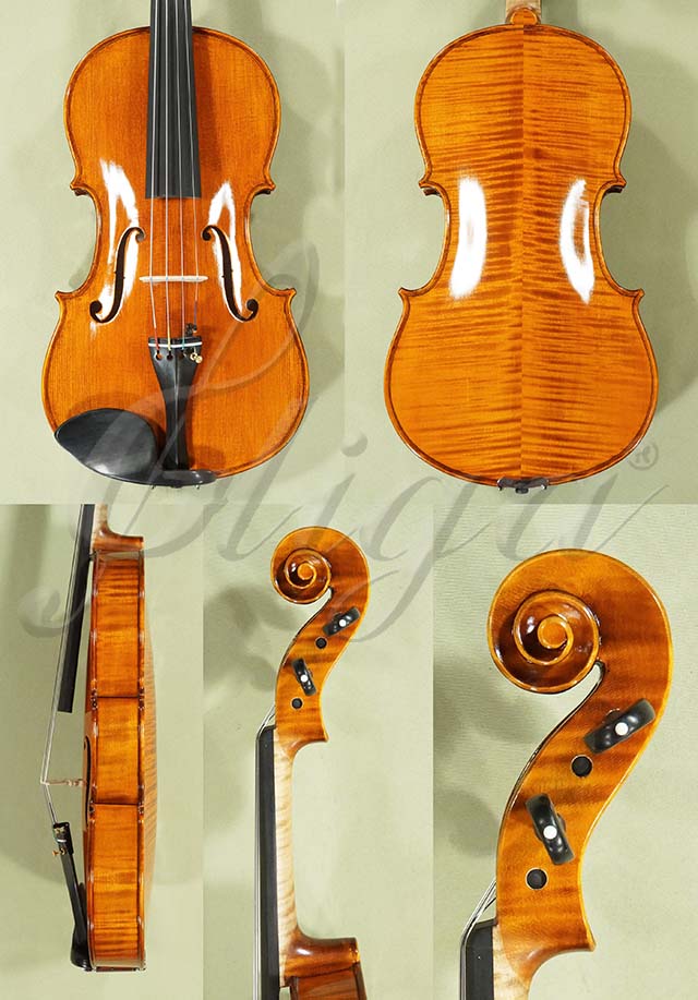 Shiny 16" PROFESSIONAL 'GAMA' Viola