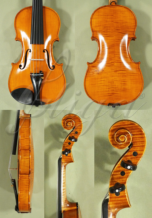 4/4 PROFESSIONAL 'GAMA Super' Five Strings Violin
