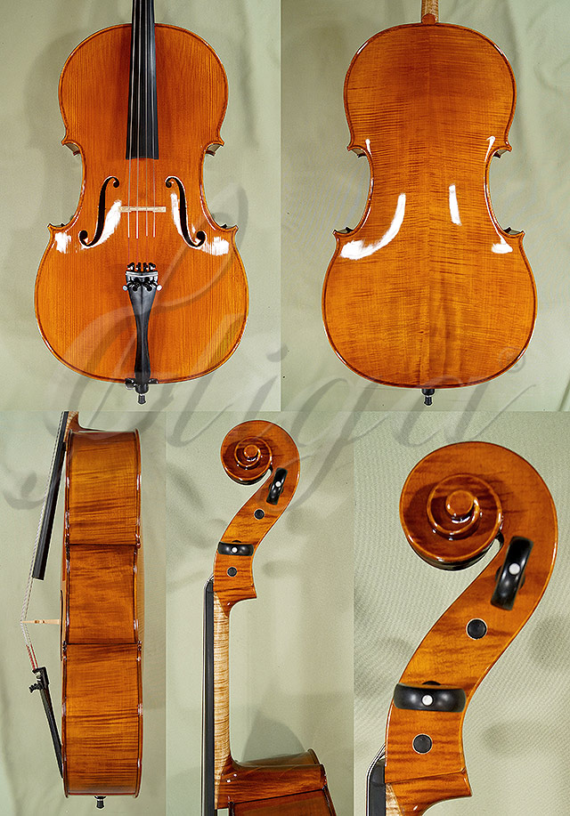 Shiny 4/4 PROFESSIONAL 'GAMA' Cello